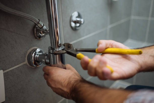 Best Clogged Drain Plumber  in Mcleansboro, IL